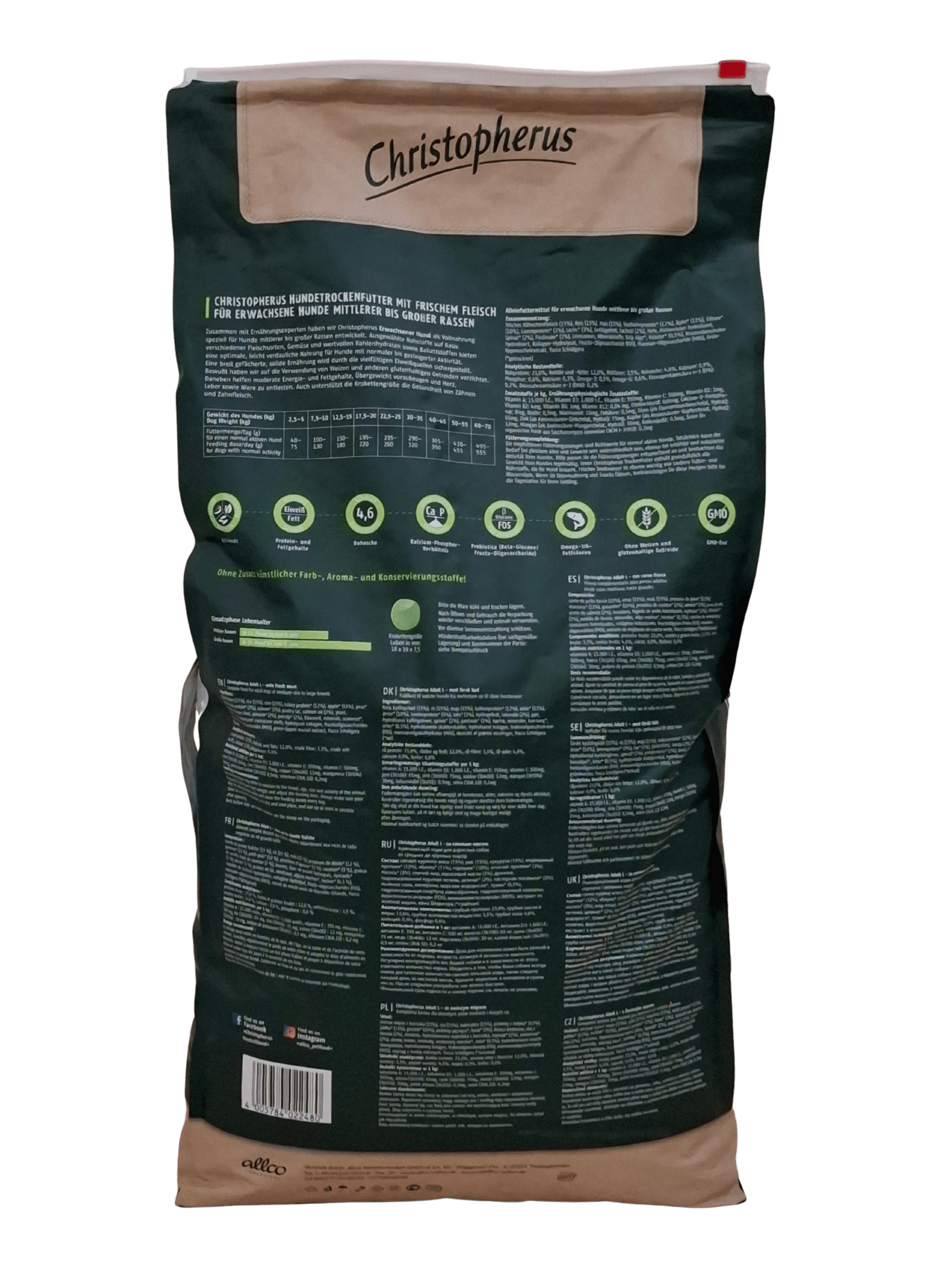 Christopherus – Erwachsener Hund